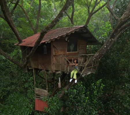 The Canopy