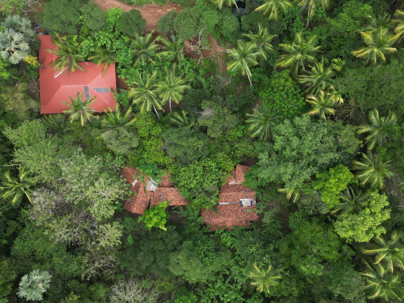 Aerial view of Varanashi Organic Farms — red-tiled roofs among dense green canopy